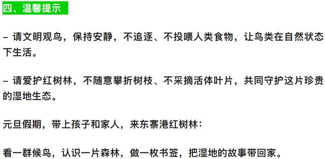 观鸟东寨港· 把一片红树林带回家