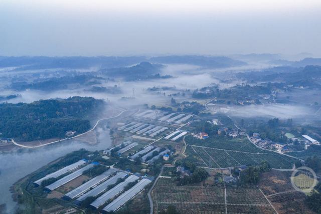 重庆梁平：冬景美如画