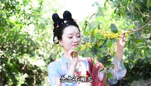 （咸宁宣传歌曲）又见桂花黄