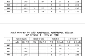 湖北省2024年艺术类体育类技能高考一分一段统计表公布！图片