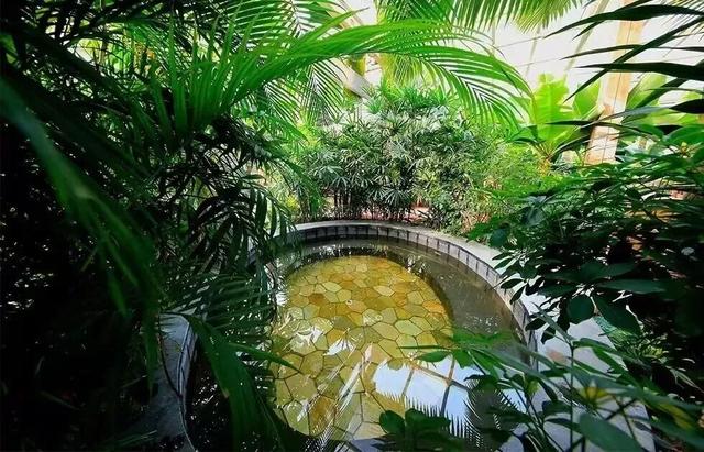 冷冷冷！雪后风起，冬游北京温暖指南——