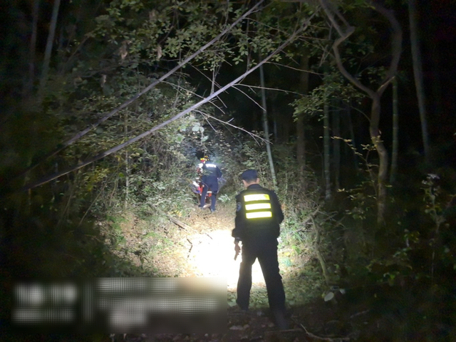 深夜突发！5名游客在无锡山里…