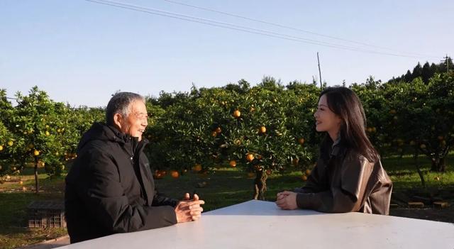 遇见西充，更遇见你！《慕・遇西充》公众号正式上线