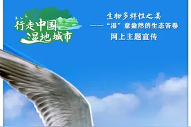 行走中国湿地城市｜银川阅海：水风清、鸟翩跹，且以诗意赋山“海”图片