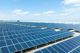 晶科能源，绷不住了图片