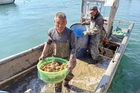 明天进入休渔期！“最后一船”刚上岸就被抢，比平时贵了……图片