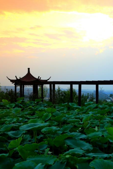 “她视角”带您看家乡美景！