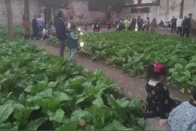 鲁迅笔下的百草园，如今什么样？图片