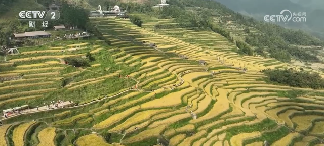“田园风光+潮流玩法”成文旅融合新亮点 乡村旅游新消费活力十足