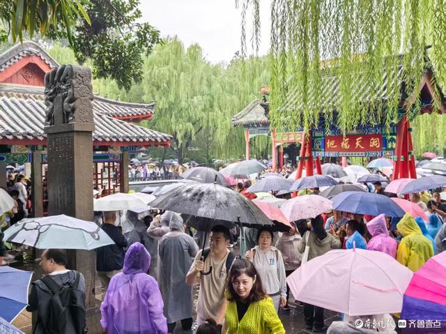 双节拍 | 雨中趵突泉，花伞簇泉人头攒动