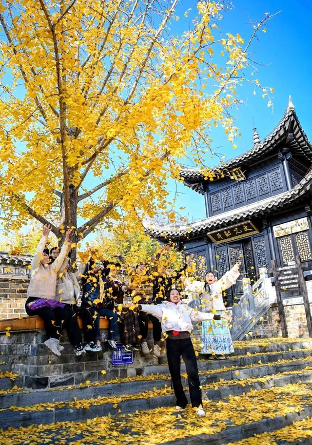 别去日本了！新洲的“同款”风景，美得更懂你