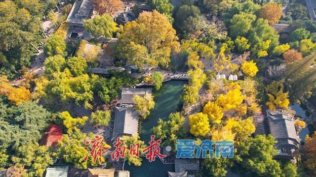 一年四季 泉在济南丨趵突泉秋景如画 泉涌叶舞醉游人