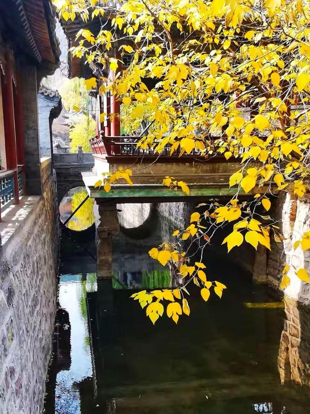 晚潮｜邂逅秋光三千年