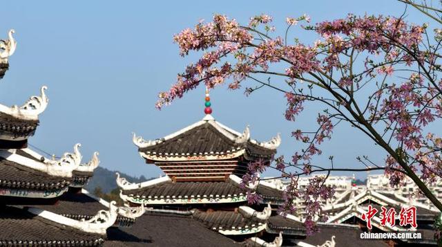 广西三江侗乡：花映廊桥美如画