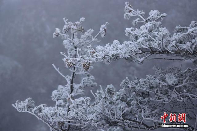 豫西落雪：白云山间银装素裹