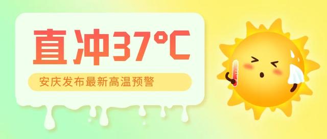 安徽省委决定：她任安徽一高校副校长