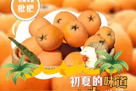 “果”然很云南｜初夏的味道，昭通永善“大大大”枇杷图片