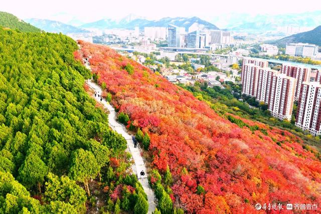 济南蝎子山，深秋 “鸳鸯火锅”景如画