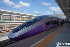 牵手“一小时交通圈” 杭温高铁正式建成通车图片