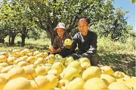 忻州各地欢庆第七个“中国农民丰收节”图片