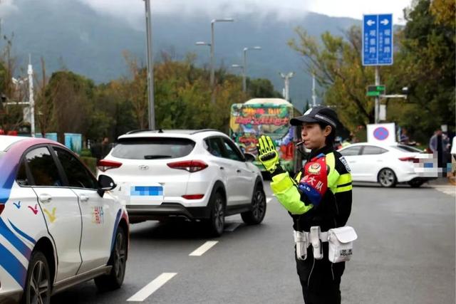来昆观鸥！这样不堵！