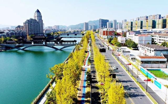 临安，一座被银杏腌入味的城市