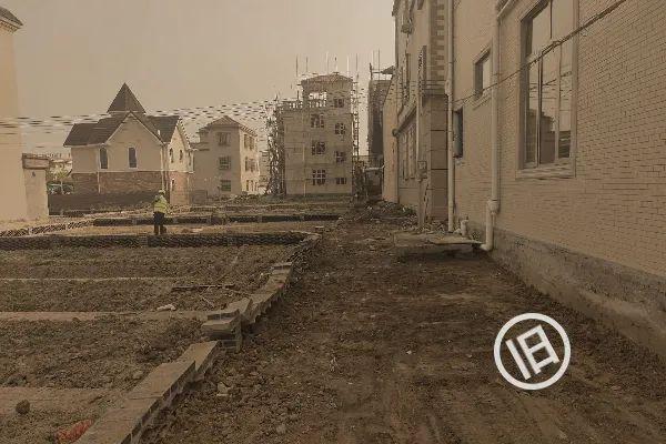 小斗湖鳘鱼胶效果 2026年斗湖鱼胶的功效与作用