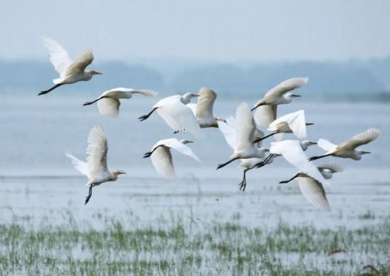 Yeah！生活｜新沂？心仪！