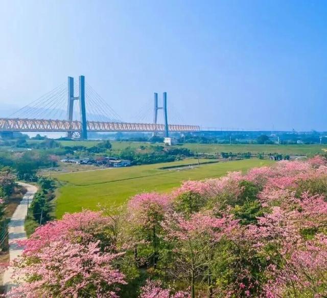 双节同庆 乐享三水丨美食、烟花、萌宠…在三水一次过足瘾！