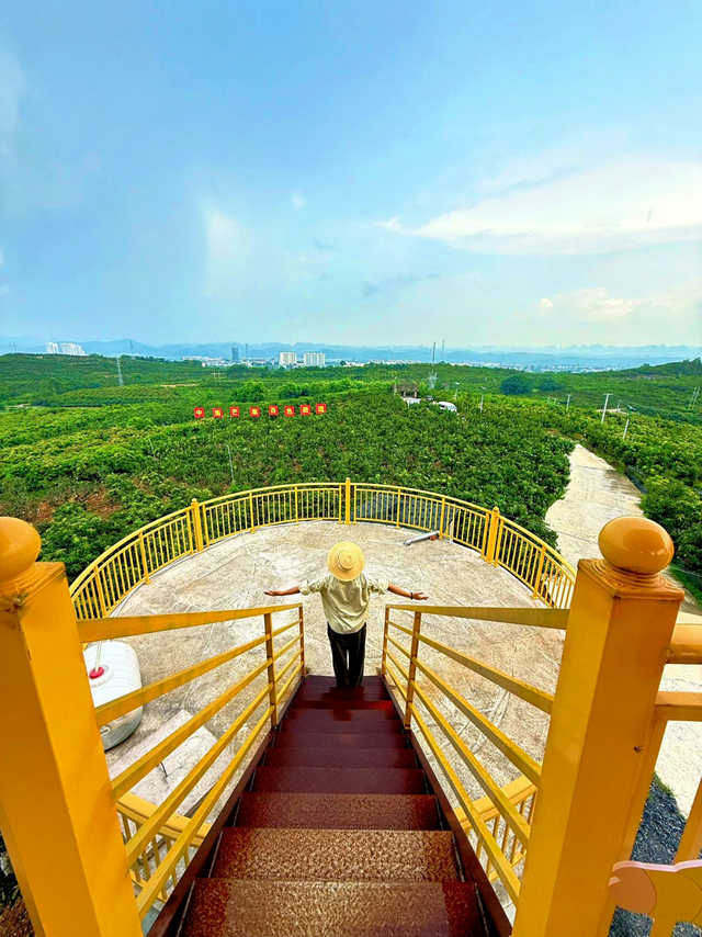 百色田东，“中国芒果之乡”不止芒果！