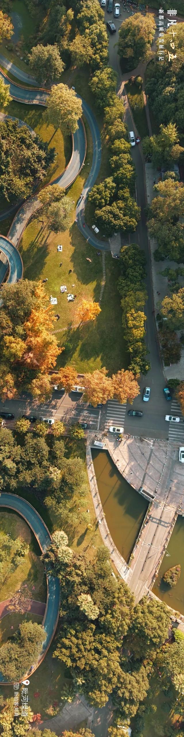 飞“阅”新都 | 一座生长在公园里的城市