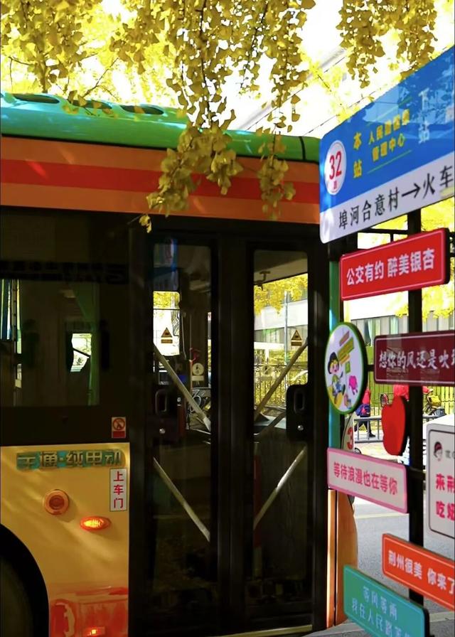 荆州公交“杏运专车”上线！坐黄金巴士，赴银杏之约