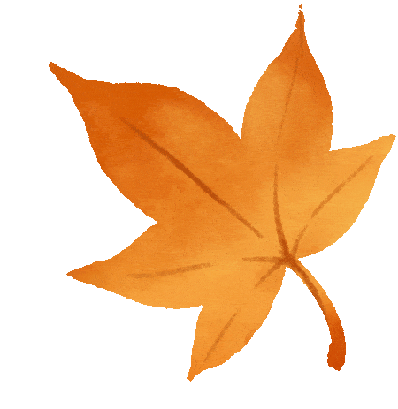 旅居云南 红河最好在丨来红河，赴一场滇南最美乡愁之旅