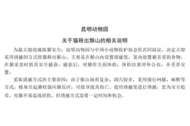 张馨予为“昆明动物园猴猫共处”事件发声图片