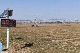 央视点赞！兖州区智能喷灌设备助力30余万亩冬小麦“喝上”返青水图片