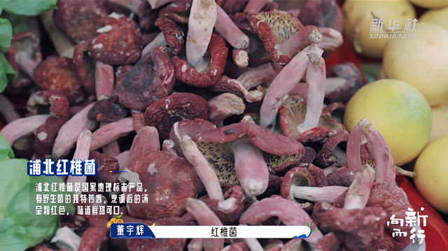 新华社携手董宇辉，走进广西的蔚蓝海岸……