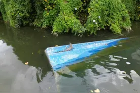 海口红城湖中鳄鱼品种确认！正在抓捕！过往市民尽量远离水体图片