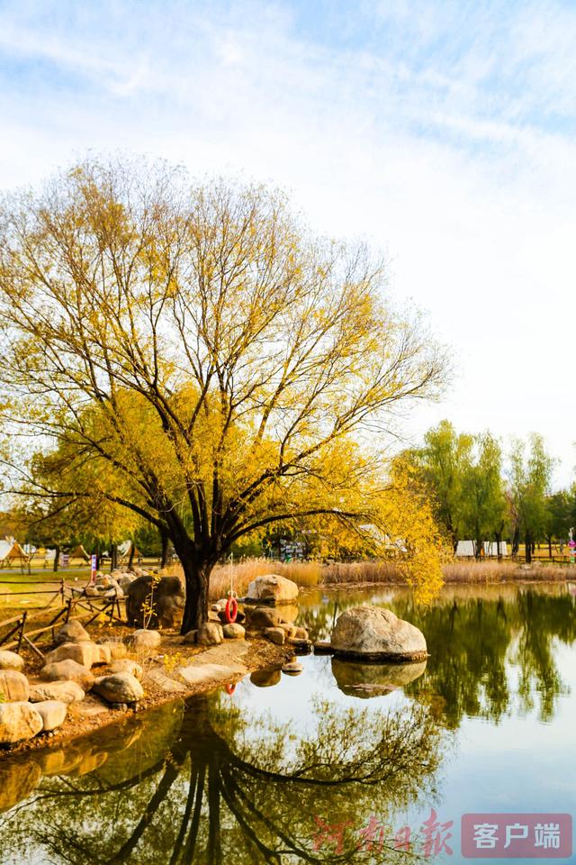 印象港区｜满目金黄，是秋写给冬的告白