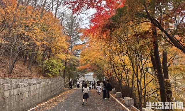 北九水网红路，周末打卡人气高！