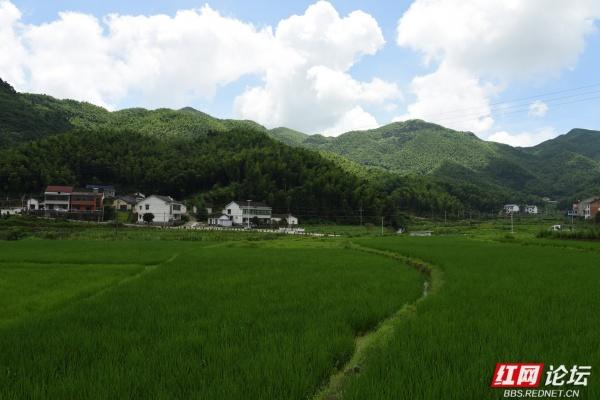 【高清湖南】玉池山居图：在青山绿水田园间，与美好相遇