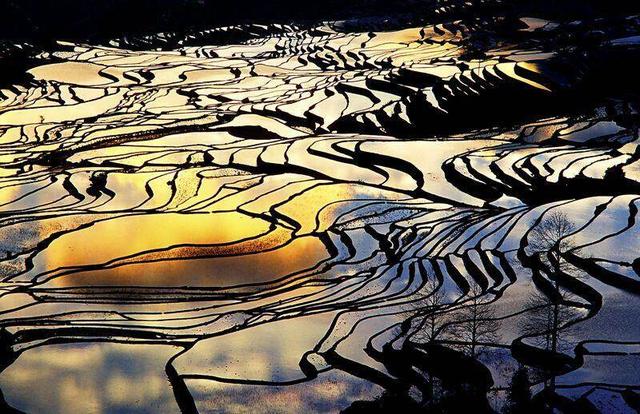 十二把钥匙，解锁云南全年旅居生活