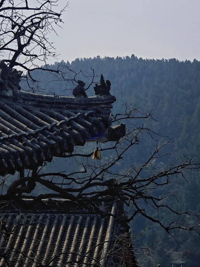 龙门石窟旅游攻略，看这一篇就够了！