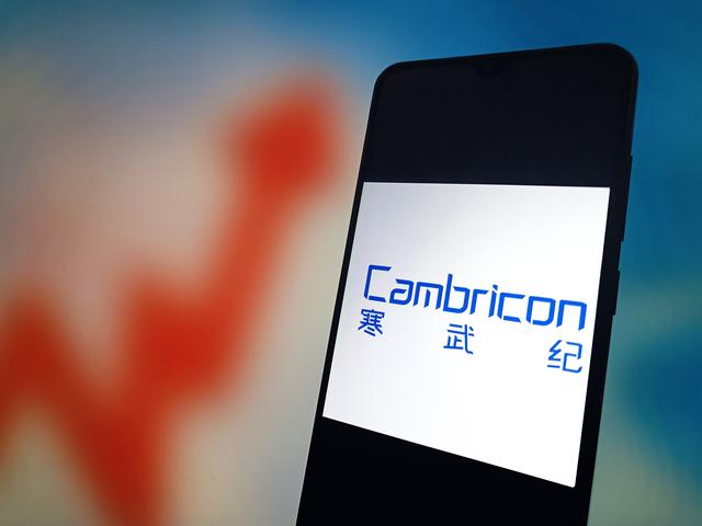 资本市场多重政策利好，能否打造“中国英伟达”？