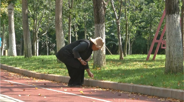 “捡秋”+ 拍大片！洛龙公园“秋日限定”正当时