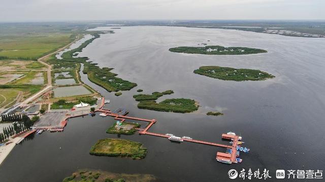 大河壮阔亮丽北疆|打卡乌梁素海：碧波芦苇间，邂逅生态之美