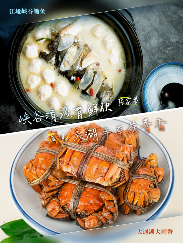 “湘超”益阳VS张家界：山水相逢，竞逐绿茵