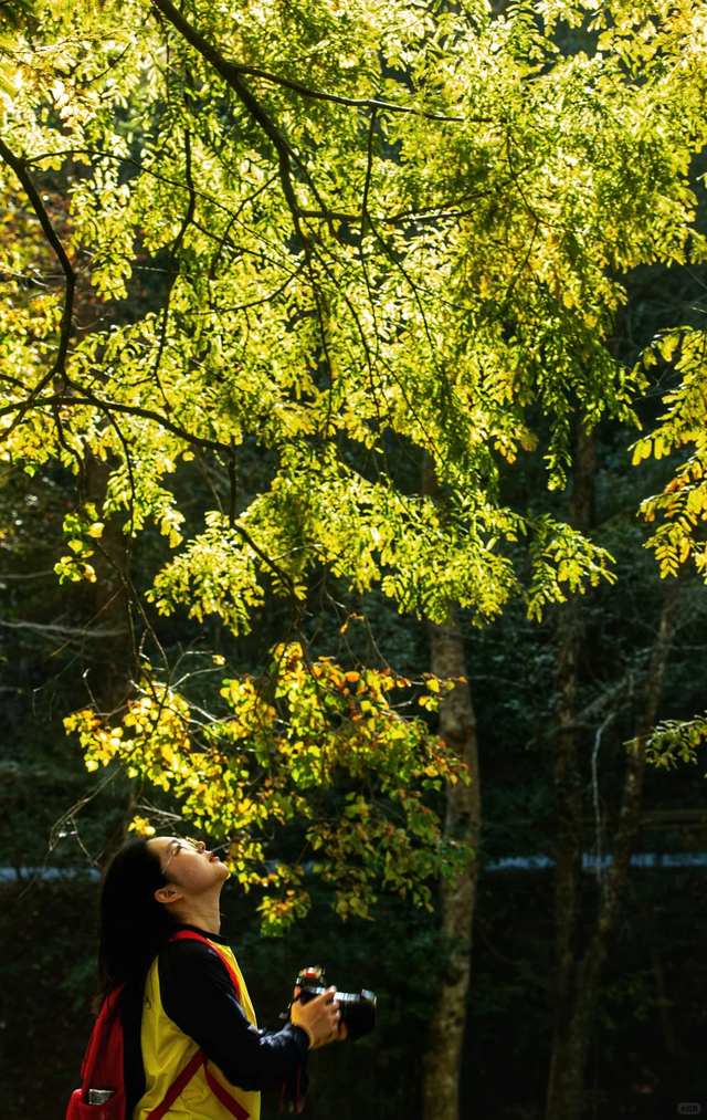 初冬“回血”指南，一起解锁自然疗愈之旅
