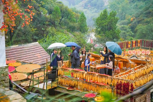 首创“赌雨”活动，红叶柿岩“抢得”20000名游客