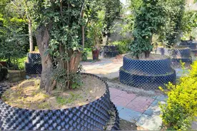 云梦：一农户建成“金弹子”盆景园林图片