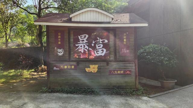 高能预警！现场直击丰顺绝美花墙、花路...